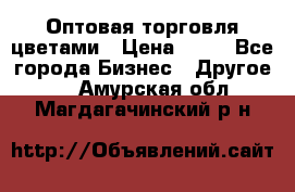 Оптовая торговля цветами › Цена ­ 25 - Все города Бизнес » Другое   . Амурская обл.,Магдагачинский р-н